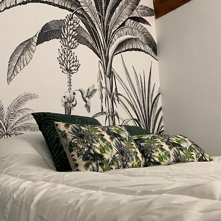 Appartement Cosy Centre Historique Avignon Bagian luar foto